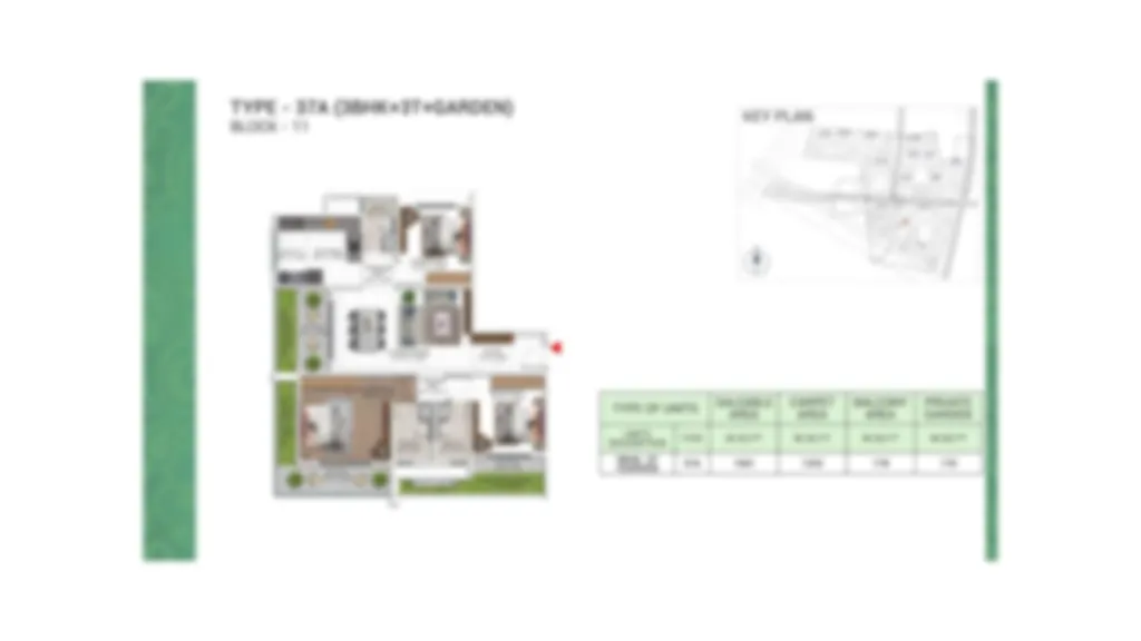 image (1)